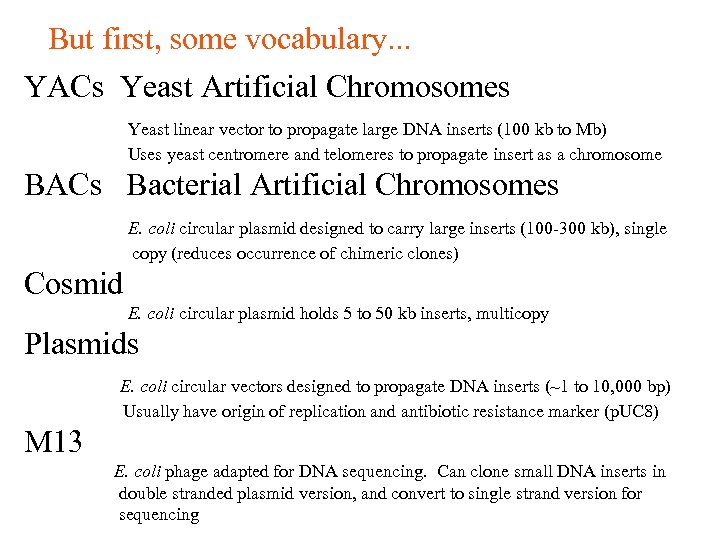 But first, some vocabulary. . . YACs Yeast Artificial Chromosomes Yeast linear vector to