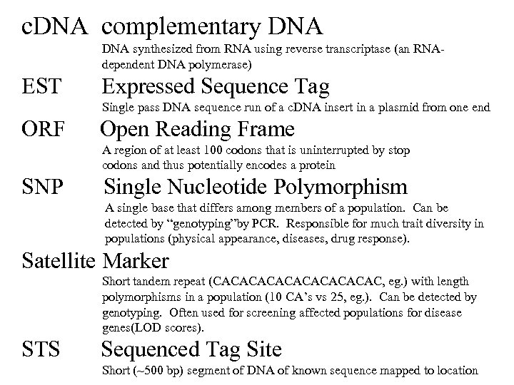 c. DNA complementary DNA synthesized from RNA using reverse transcriptase (an RNAdependent DNA polymerase)