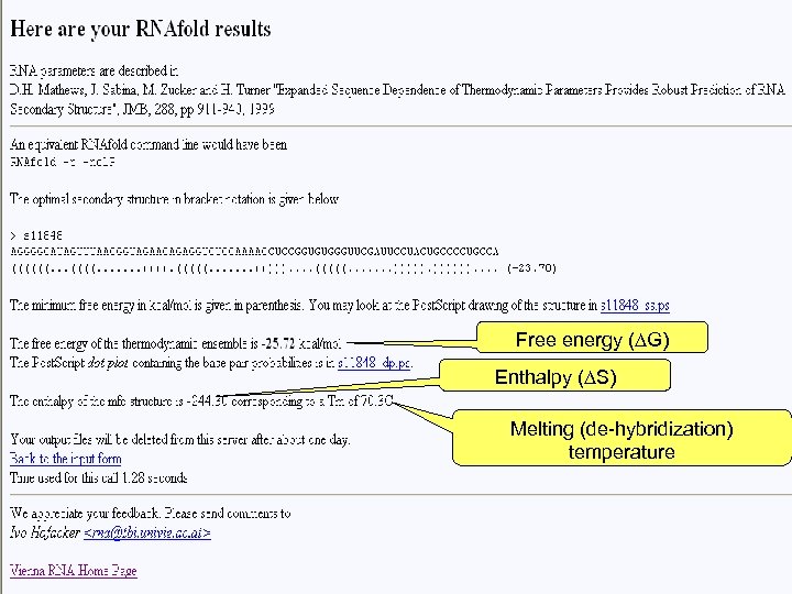 Free energy (∆G) Enthalpy (∆S) Melting (de-hybridization) temperature 