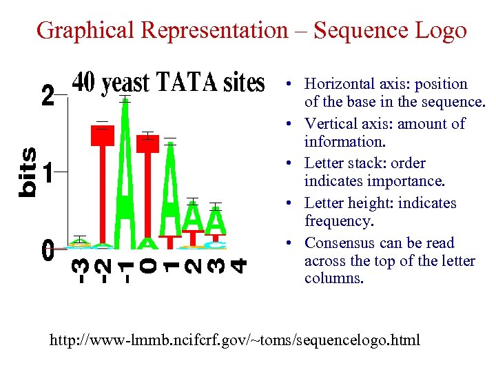 Graphical Representation – Sequence Logo • Horizontal axis: position of the base in the