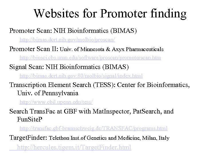 Websites for Promoter finding Promoter Scan: NIH Bioinformatics (BIMAS) http: //bimas. dcrt. nih. gov/molbio/proscan/