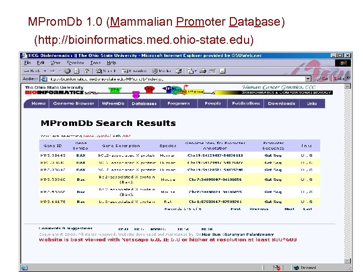 MProm. Db 1. 0 (Mammalian Promoter Database) (http: //bioinformatics. med. ohio-state. edu) 