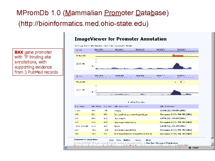 MProm. Db 1. 0 (Mammalian Promoter Database) (http: //bioinformatics. med. ohio-state. edu) BAX gene