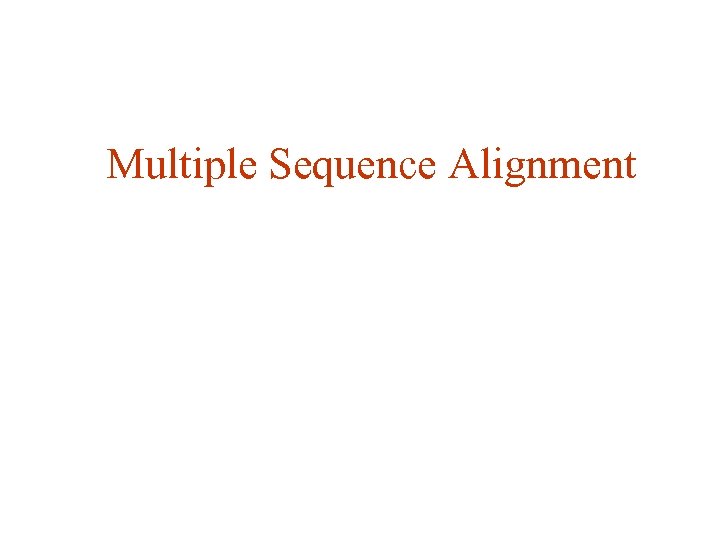 Multiple Sequence Alignment 