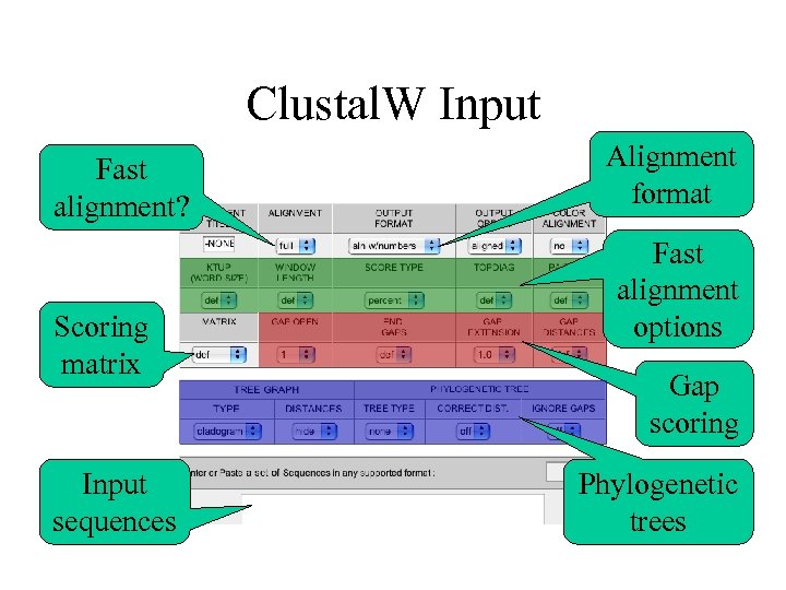 Clustal. W Input Fast alignment? Scoring matrix Input sequences Alignment format Fast alignment options