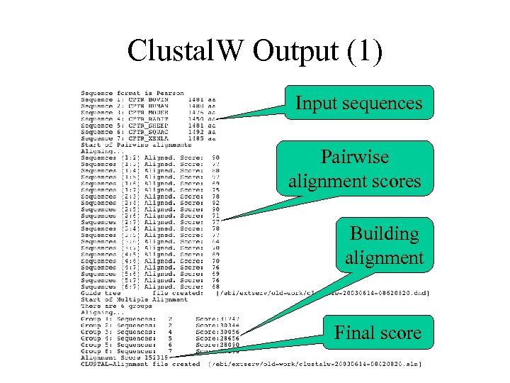 Clustal. W Output (1) Input sequences Pairwise alignment scores Building alignment Final score 