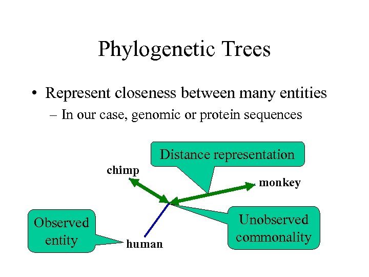 Phylogenetic Trees • Represent closeness between many entities – In our case, genomic or