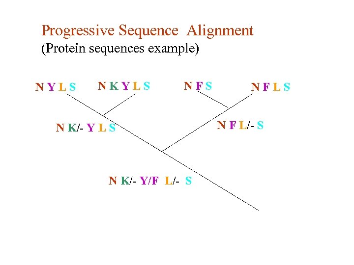 Progressive Sequence Alignment (Protein sequences example) NYLS NKYLS NFS N K/- Y L S