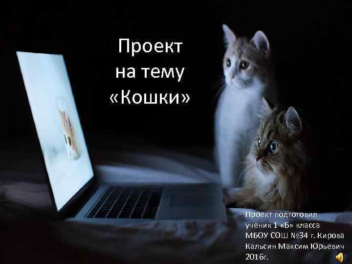 Проект на тему «Кошки» Проект подготовил ученик 1 «Б» класса МБОУ СОШ № 34