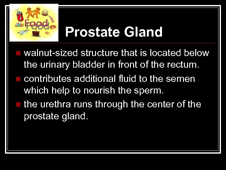 Prostate Gland walnut-sized structure that is located below the urinary bladder in front of