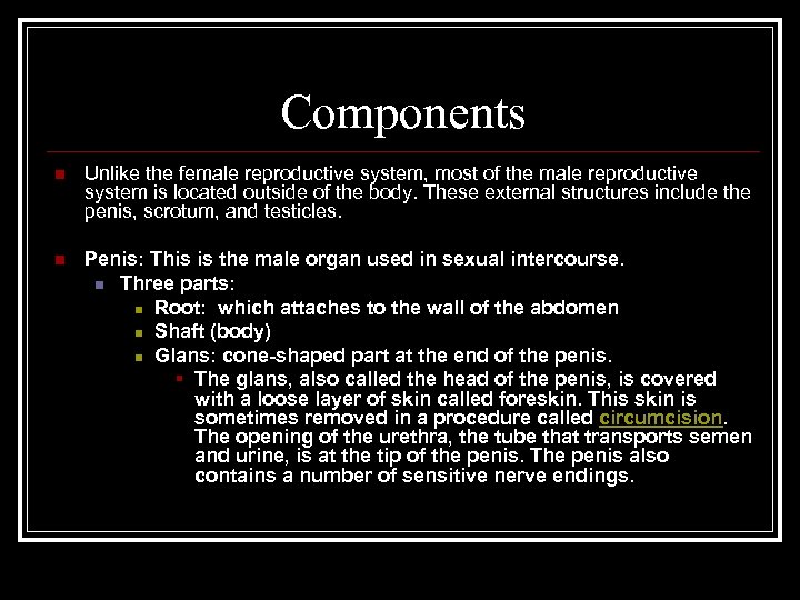 Components n Unlike the female reproductive system, most of the male reproductive system is