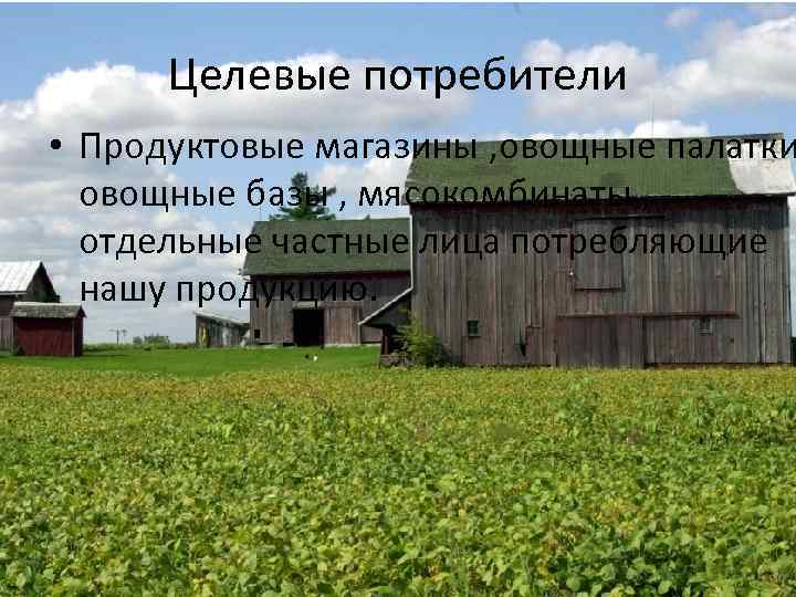 Целевые потребители • Продуктовые магазины , овощные палатки овощные базы , мясокомбинаты , отдельные