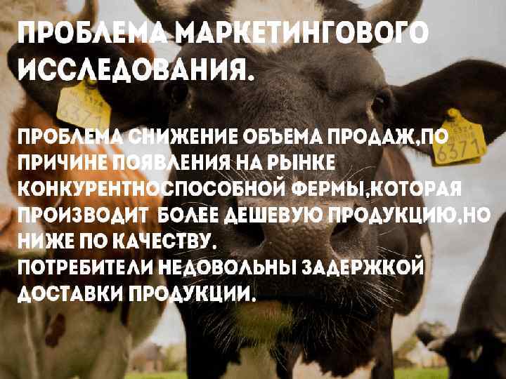 Проблема маркетингового исследования. • Проблема-Снижение объема продаж, по причине появления на рынке конкурентноспособной фермы,