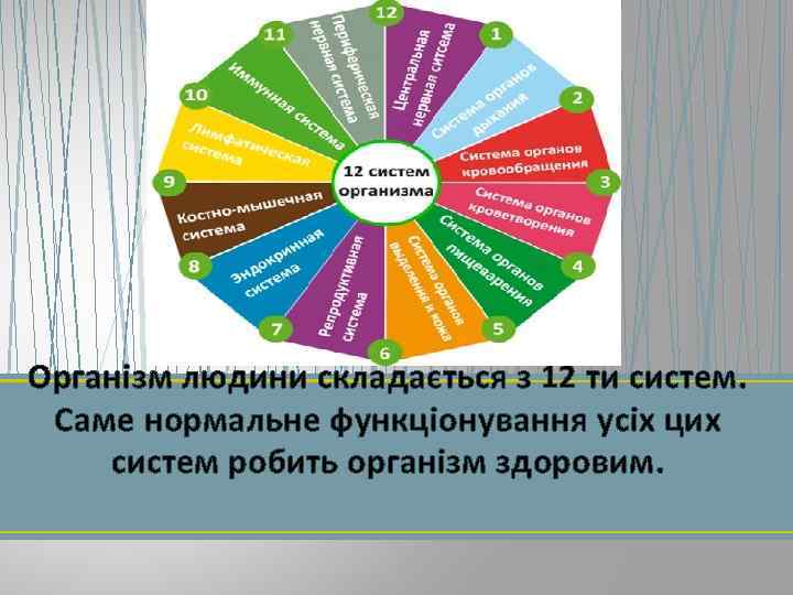 Організм людини складається з 12 ти систем. Саме нормальне функціонування усіх цих систем робить