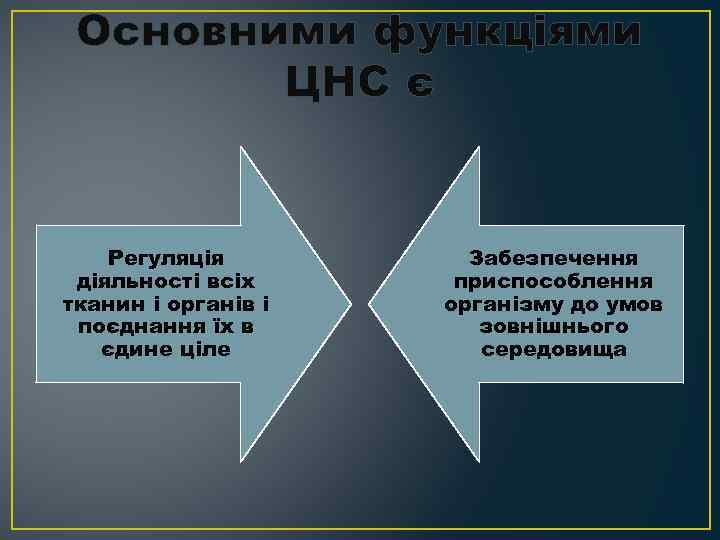 Основними функціями ЦНС є Регуляція діяльності всіх тканин і органів і поєднання їх в