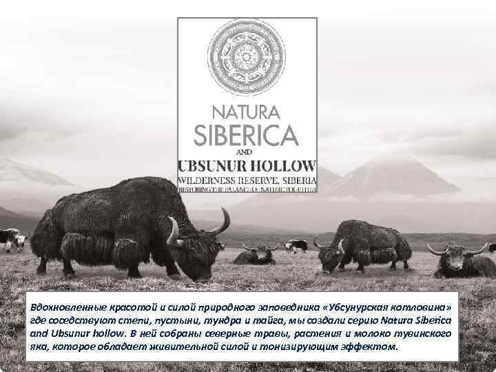 Вдохновленные красотой и силой природного заповедника «Убсунурская котловина» где соседствуют степи, пустыни, тундра и
