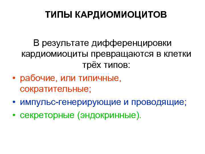 ТИПЫ КАРДИОМИОЦИТОВ В результате дифференцировки кардиомиоциты превращаются в клетки трёх типов: • рабочие, или