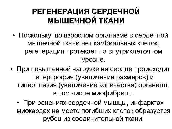 РЕГЕНЕРАЦИЯ СЕРДЕЧНОЙ МЫШЕЧНОЙ ТКАНИ • Поскольку во взрослом организме в сердечной мышечной ткани нет
