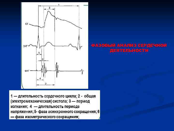 ФАЗОВЫЙ АНАЛИЗ СЕРДЕЧНОЙ ДЕЯТЕЛЬНОСТИ 