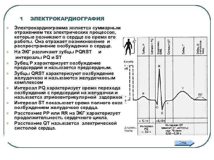 1 ЭЛЕКТРОКАРДИОГРАФИЯ Электрокардиограмма является суммарным отражением тех электрических процессов, которые возникают в сердце во