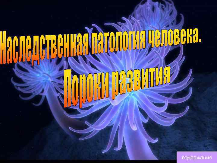 содержание 