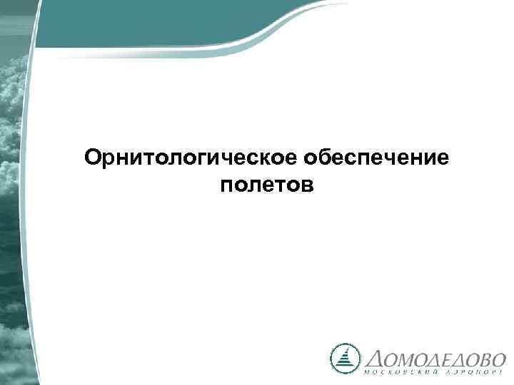 Орнитологическое обеспечение полетов 