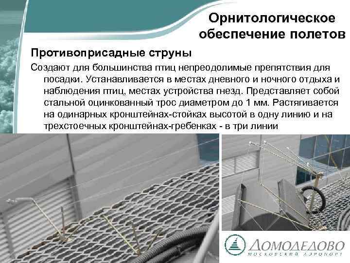 Орнитологическое обеспечение полетов Противоприсадные струны Создают для большинства птиц непреодолимые препятствия для посадки. Устанавливается