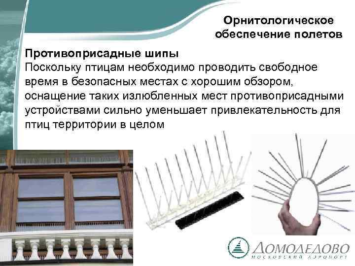 Орнитологическое обеспечение полетов Противоприсадные шипы Поскольку птицам необходимо проводить свободное время в безопасных местах