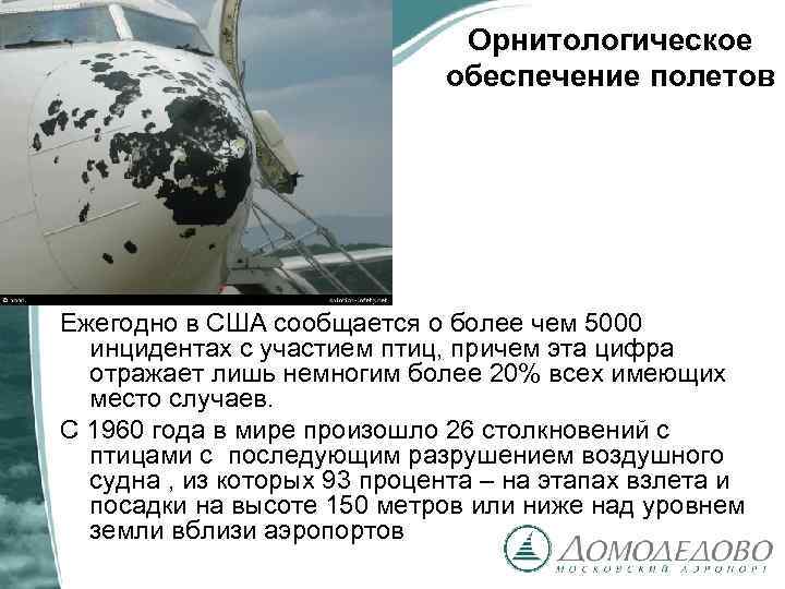 Орнитологическое обеспечение полетов Ежегодно в США сообщается о более чем 5000 инцидентах с участием