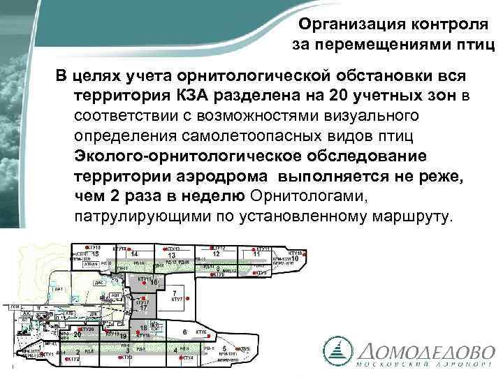 Организация контроля за перемещениями птиц В целях учета орнитологической обстановки вся территория КЗА разделена