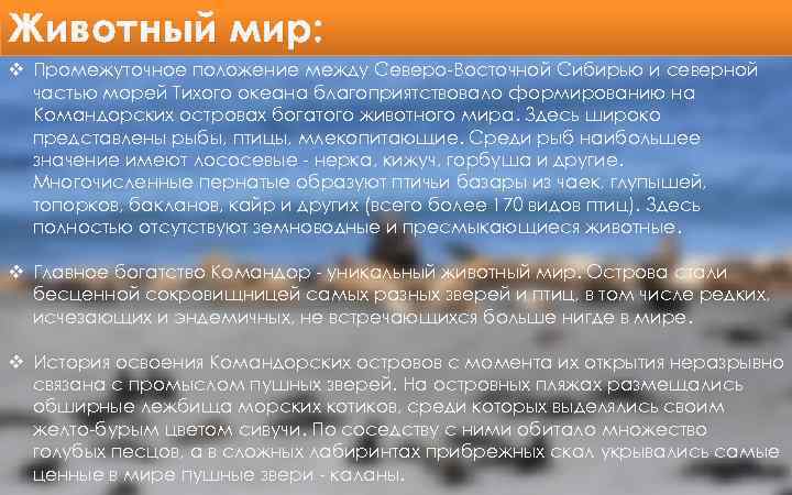 Животный мир: v Промежуточное положение между Северо-Восточной Сибирью и северной частью морей Тихого океана