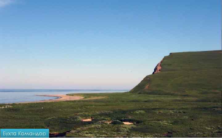 Бухта Командор 