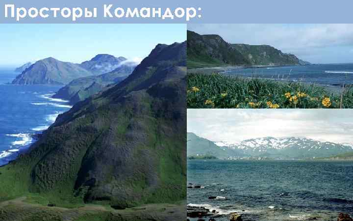 Просторы Командор: 