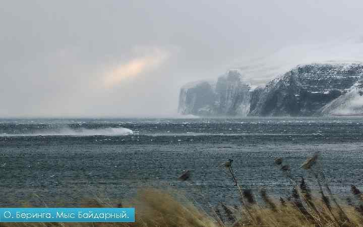 О. Беринга. Мыс Байдарный. 