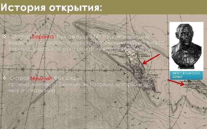 История открытия: v Остров Беренга был открыт в 1741 году экспедицией выдающегося русского мореплавателя