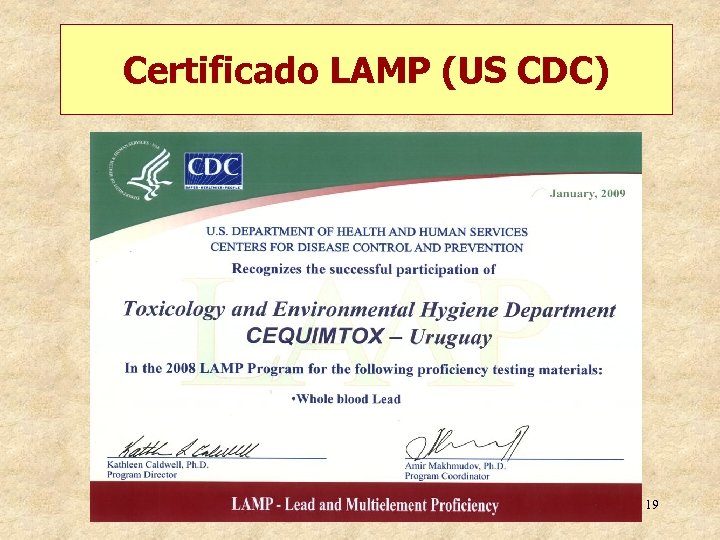 Certificado LAMP (US CDC) 19 