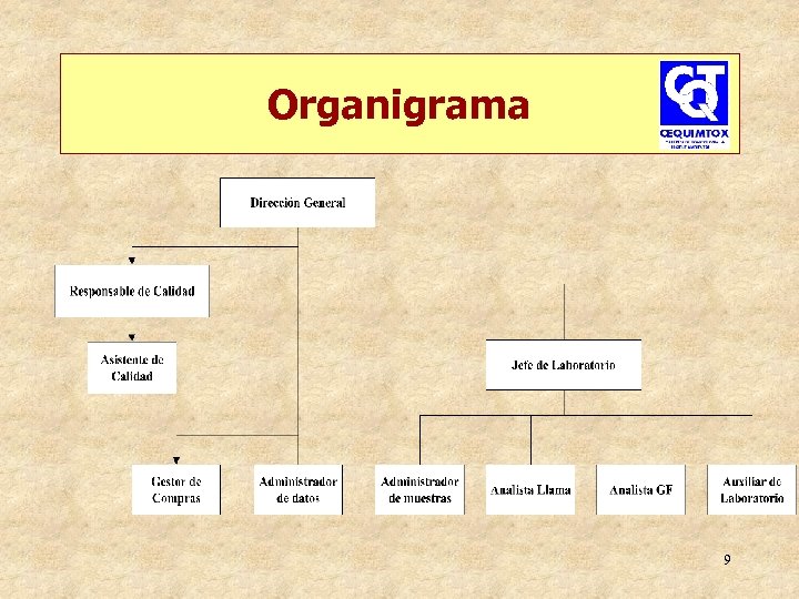 Organigrama 9 