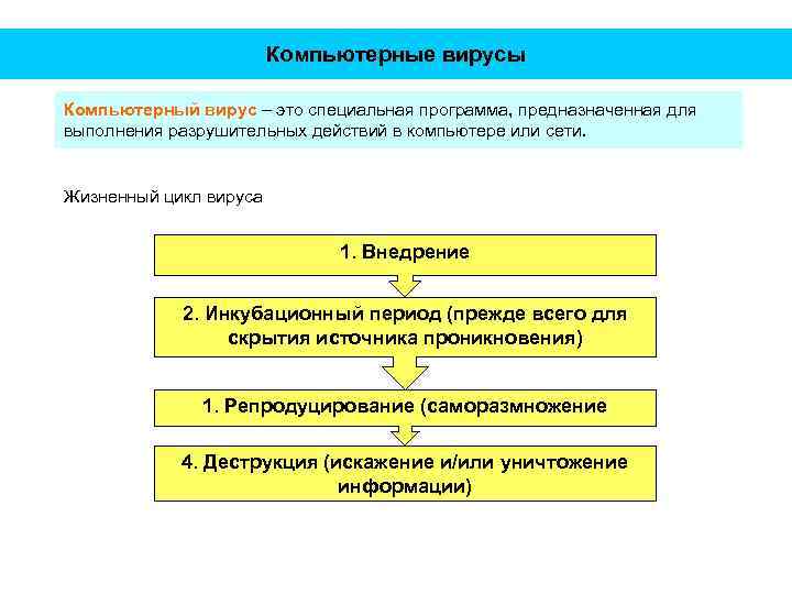 Компьютерные вирусы Компьютерный вирус – это специальная программа, предназначенная для выполнения разрушительных действий в