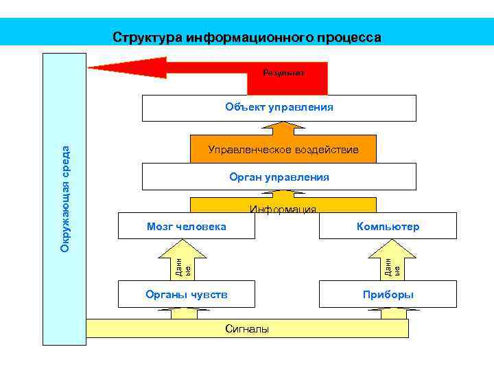 Структура информационного процесса Результат Управленческое воздействие Орган управления Информация Компьютер Данн ые Мозг человека