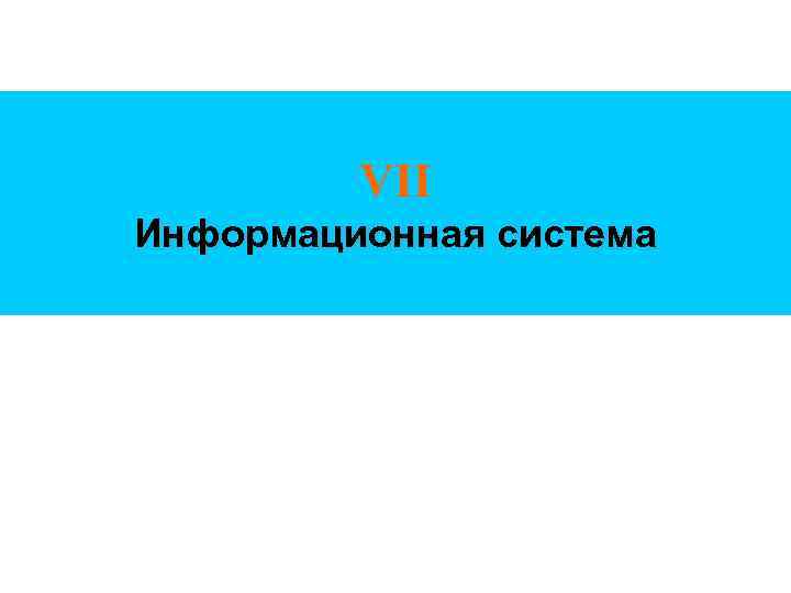 VII Информационная система 