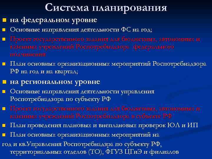 Система планирования n на федеральном уровне n Основные направления деятельности ФС на год; Проект