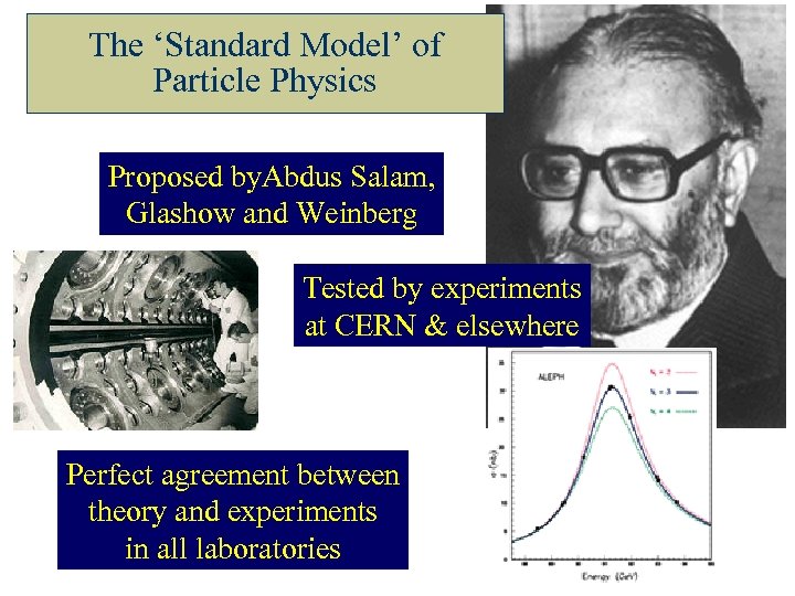 The ‘Standard Model’ of Particle Physics Proposed by. Abdus Salam, Glashow and Weinberg Tested