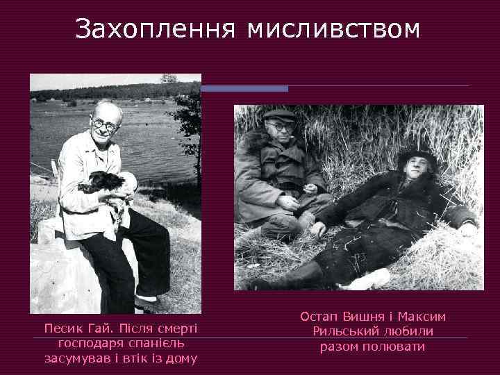 Захоплення мисливством Песик Гай. Після смерті господаря спанієль засумував і втік із дому Остап