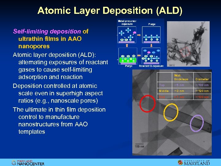 Atomic Layer Deposition (ALD) Self-limiting deposition of ultrathin films in AAO nanopores Atomic layer
