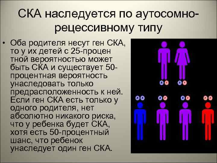 СКА наследуется по аутосомнорецессивному типу • Оба родителя несут ген СКА, то у их