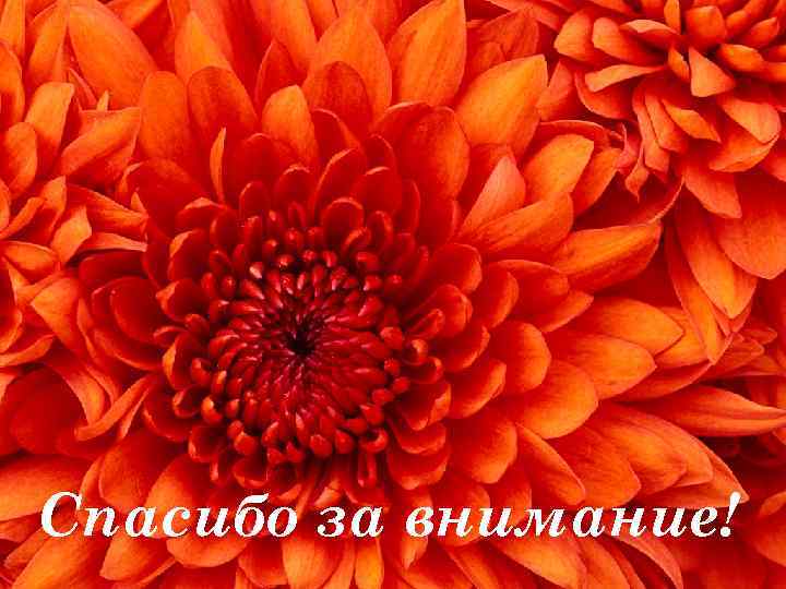 Спасибо за внимание! 