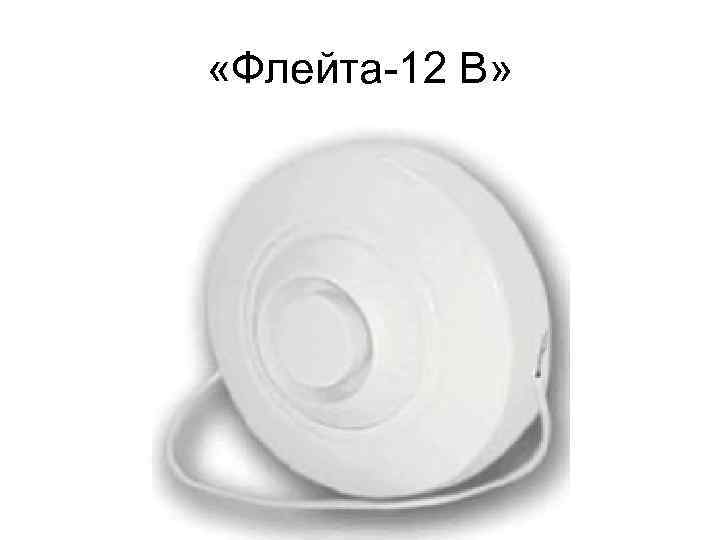  «Флейта 12 В» 