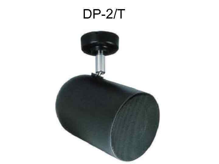 DP 2/T 