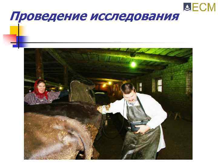 Проведение исследования 