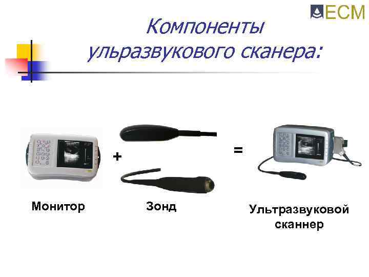 Компоненты ульразвукового сканера: = + Монитор Зонд Ультразвуковой сканнер 